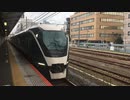 E261系RS1編成 サフィール踊り子 平塚駅4番線通過