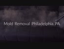 Best Mold Removal in Philadelphia, PA