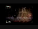 【実況】へっぽこアベル無謀にもあの呪われた島へ（Salt and Sanctuary）46