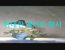 위대한 엘리트 형사