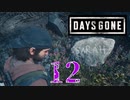 【Days Gone】こんな世だからこそ墓に意味がある【PART12】