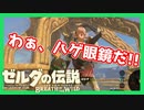 【ゼルダの伝説BotW】バクダンで大体のことは解決する大冒険 part35【実況】