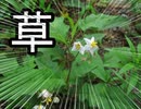 【VIPRPG】 ポイズン毒消し　その１