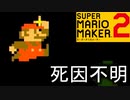 原因不明の死亡シーン【スーパーマリオメーカー2】