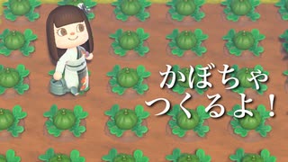 【あつ森】かぼちゃ作るよ！詳しい解説も！