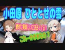 ささら と ONEで「小田原　ひととせの雪」のかき氷をレビュー！