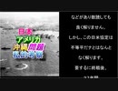 日 米 沖 縄 問 題 の 経 緯 及 び 私 的 見 解「巨 悪 の 原 因    日 米 地 位 協 定」