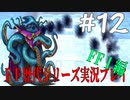 ファイナルファンタジー歴代シリーズを実況プレイ‐FF１編‐【12】
