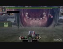 MHP2G ios　浮岳龍