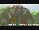 【実況】眠ってる姿を見て思わず手が出ちゃった【ゼルダの伝説BotW】 #17
