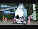 【バイク動画】栃木県下野市⇒茨城県結城市　秋空ツーリング　(CBR400RR)(NC29)