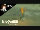 【実況】マスターモードでやりこみサバイバル生活！！　Part73 【ゼルダの伝説　BotW】