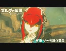 【実況】ゾーラ族の英傑【ゼルダの伝説BotW】 #19