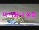 마리화나 심문