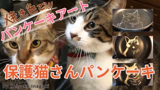 パンケーキアート〜保護猫さん達そして飾れるパンケーキとは…