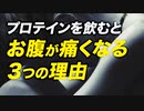 【Q&A】プロテインを飲むとお腹を壊す3つの原因と対処法【ビーレジェンド プロテイン】