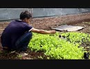 [ワイルドハウスユース]西と東ではなく、自由について尋ねる-2018ワイルドハウスは続く