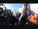 【VR有】コミックマーケット コミケ 冬コミ コスプレ Comic Market C97 Cosplay 2nd Day #9