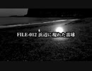 【衝撃映像】FILE-012 浜辺に現れた雷球