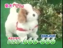 日本直販オタクだった世界線のがっとれー