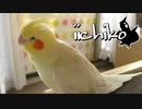 日向ぼっこについて、一言頂きました