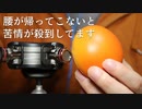 【ASMR】この動画を見るとゾワゾワで腰が浮きます【音フェチ】