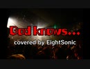 【男声カバー】God knows...を歌ってみたらノスタルジーで死んだ