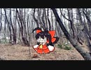 【東方手書きショート】ブチギレ!！れいむちゃん☆1657