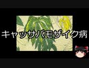 【ゆっくり朗読】ゆっくりさんと不思議な病気 その244