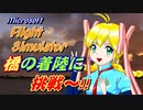 【MS Flight Sim.】橋の着陸に挑戦～!!