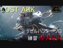 LOST ARK　ルメルス練習 デビルハンター ソロ