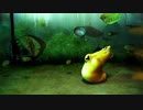 Ｌａｒｖａ（ラーバ）　SEASON１　第14話～第26話