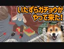 Untitled Goose Game ♯4 | ガ チ ョ ウ は 悪 く な い