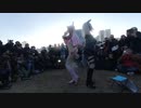 【VR有】コミックマーケット コミケ 冬コミ コスプレ Comic Market C97 Cosplay 2nd Day #42