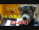 【アカペラで90点以上取れるまで毎日投稿！】狼が「ロード」歌ってみた！