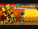 【実況】思い切り楽しむ！【ペーパーマリオRPG】Part41