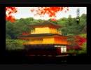 神奈川県民だけど、東京魔人學園剣風帖を実況する #95