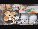 【緊急ダイエット】ゆで卵ダイエット3日目朝体重測定＆塩や味付き卵はダイエット向きでない理由を考えてみた！