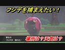 ポケモン剣盾　フシデを捕まえる方法！オススメの場所は？天気は？ポケモン図鑑コンプへの道！　【ポケモンソード・シールド】