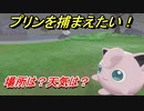 ポケモン剣盾　プリンを捕まえる方法！オススメの場所は？天気は？ポケモン図鑑コンプへの道！　【ポケモンソード・シールド】