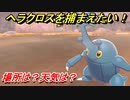 ポケモン剣盾　ヘラクロスを捕まえる方法！オススメの場所は？天気は？ポケモン図鑑コンプへの道！　【ポケモンソード・シールド】