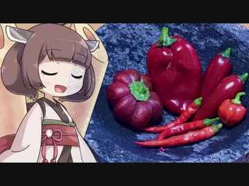 【VOICEROIDキッチン】唐辛子それと、パプリカを食う（ハリッサにして）