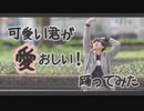 【成人男性】可愛い君が愛おしい！【踊ってみた】