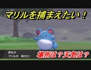 ポケモン剣盾　マリルを捕まえる方法！オススメの場所は？天気は？ポケモン図鑑コンプへの道！　【ポケモンソード・シールド】