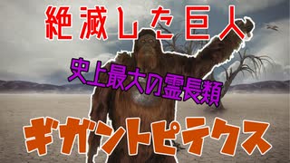 【ゆっくり解説】絶滅した巨人ギガントピテクス