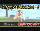 ポケモン剣盾　ミミロップを捕まえる方法！オススメの場所は？天気は？ポケモン図鑑コンプへの道！　【ポケモンソード・シールド】
