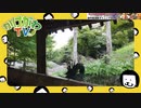 紅葉狩りも青紅葉も。大洞院さまへ行ってみた。20201013日