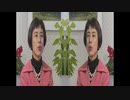 ERROR PARN -2020ver-