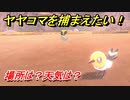 ポケモン剣盾　ヤヤコマを捕まえる方法！オススメの場所は？天気は？ポケモン図鑑コンプへの道！　【ポケモンソード・シールド】