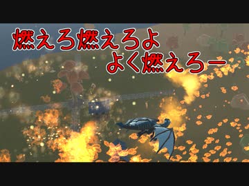 最自由に大空へ【Dragon Souls】